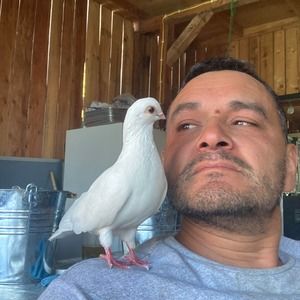 Meet your Posher, Javier